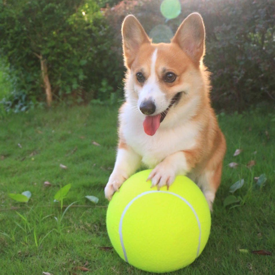 Monster Tennisbal